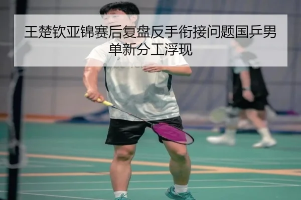 王楚钦亚锦赛后复盘反手衔接问题国乒男单新分工浮现 - kaiyun